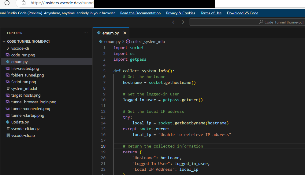 Script execution VSCode remote tunnels