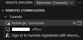 Remote tunnel host